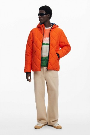 Abrigos Desigual padded Hombre | 7415638-ZH